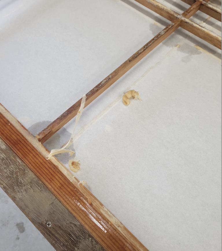 障子から古い紙を剥がしている所