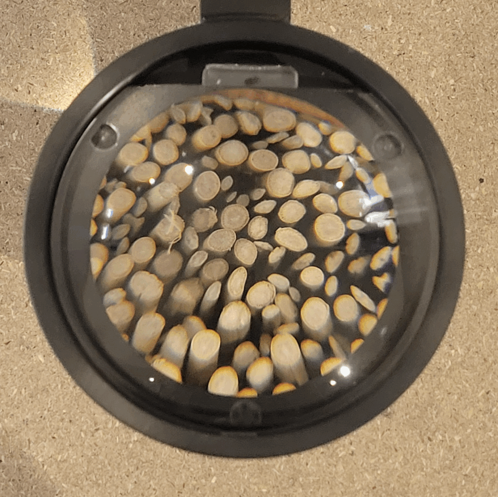 ビーグい草の断面の拡大画像