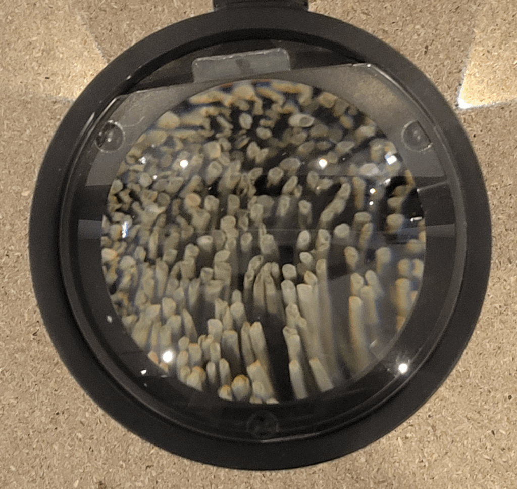 い草の断面の拡大画像