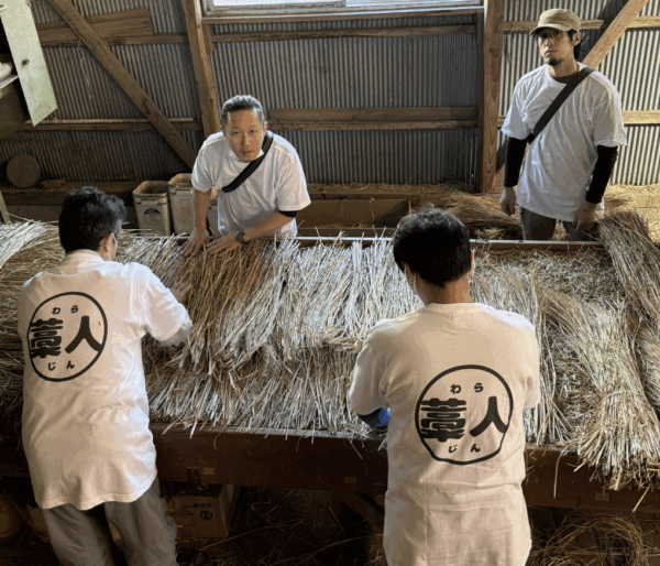 藁床の中層部分になる、切り藁の上に胴配として藁を均一に並べます。
