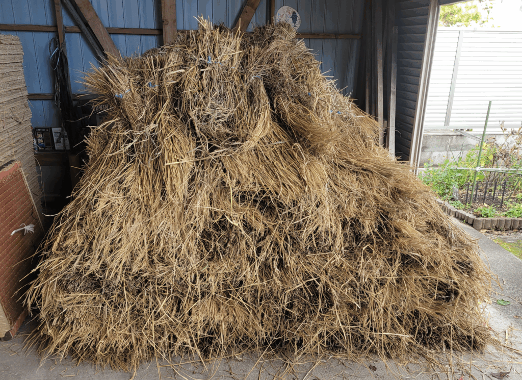 田んぼから回収してきた藁の束