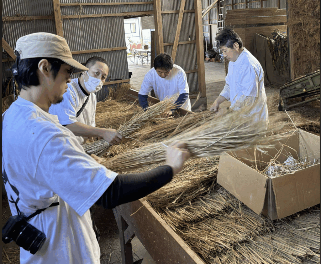 画像奥が裏紙のすぐ上になる部分に薄く藁を並べた上に藁を90度向きを変え3分の２重なるように並べている所