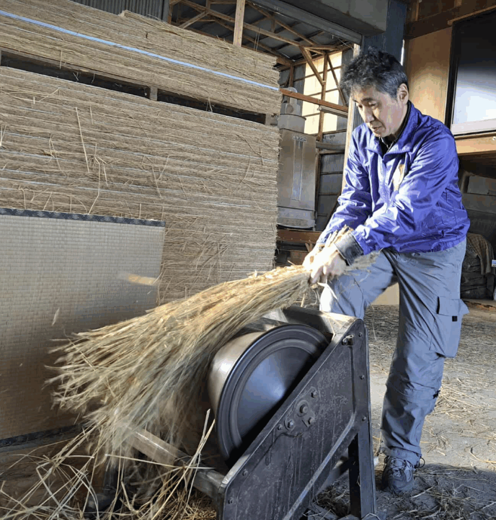 少しお米が残っていたで、脱穀します。