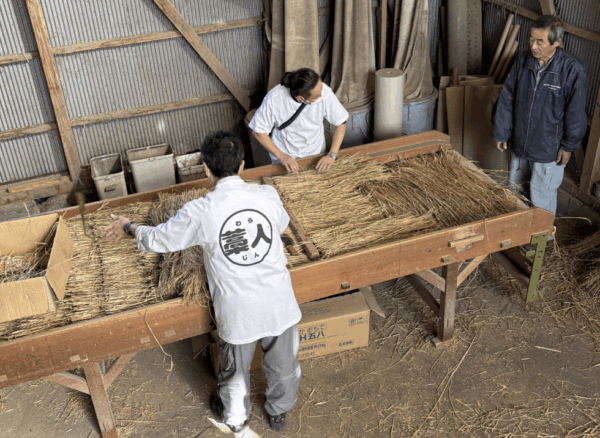 藁床の最下層になる部分の配置を教えてもらって並べています。