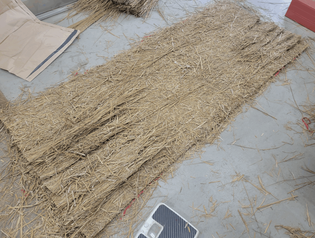 たねのみ？たねもみ？たねごみ？