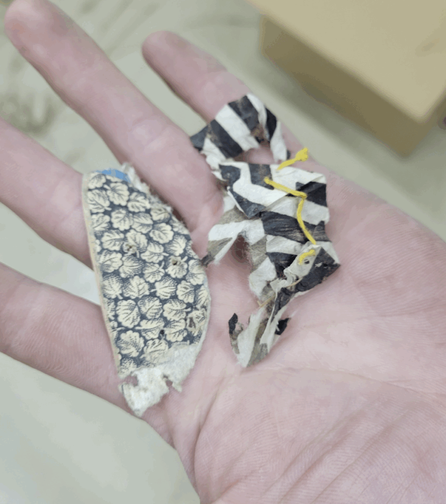 畳の中から出てきた和紙の残骸