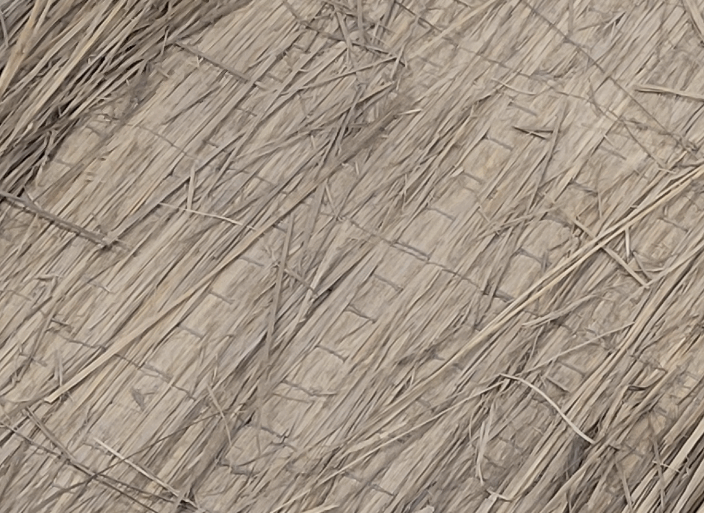 筋縫いの畝を縫った部分の画像