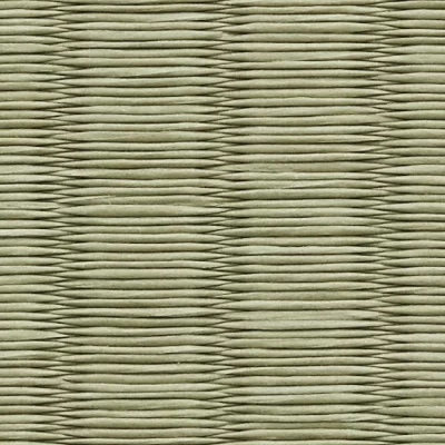 銀白　極　22山葵色