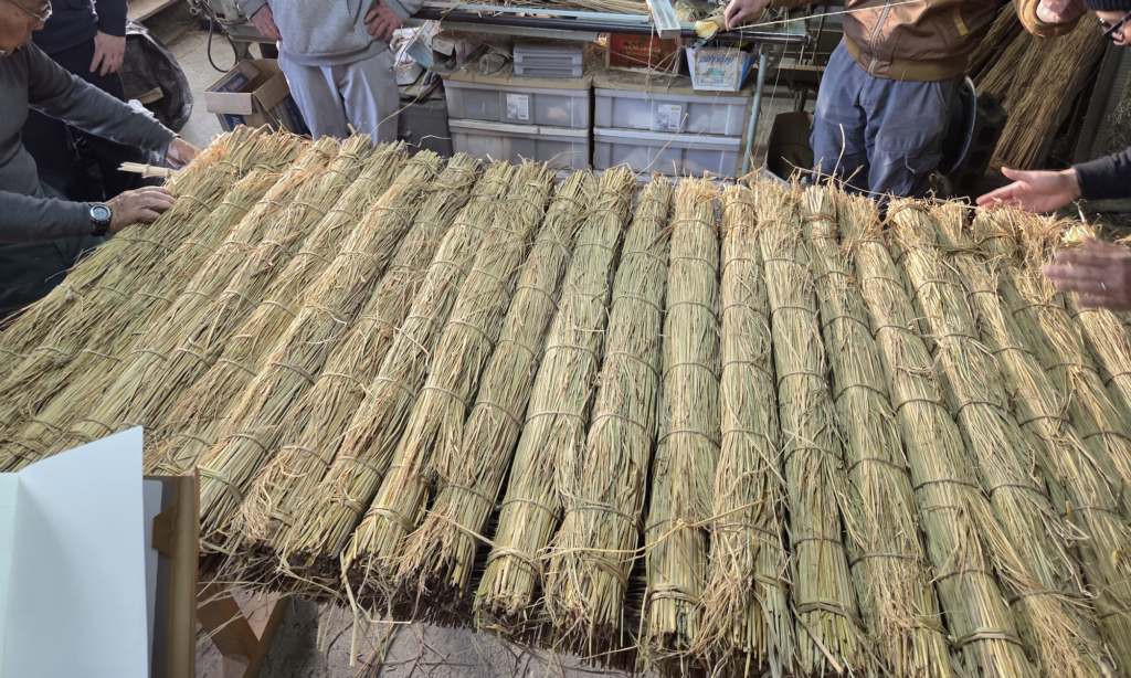 メインとなる胴薦